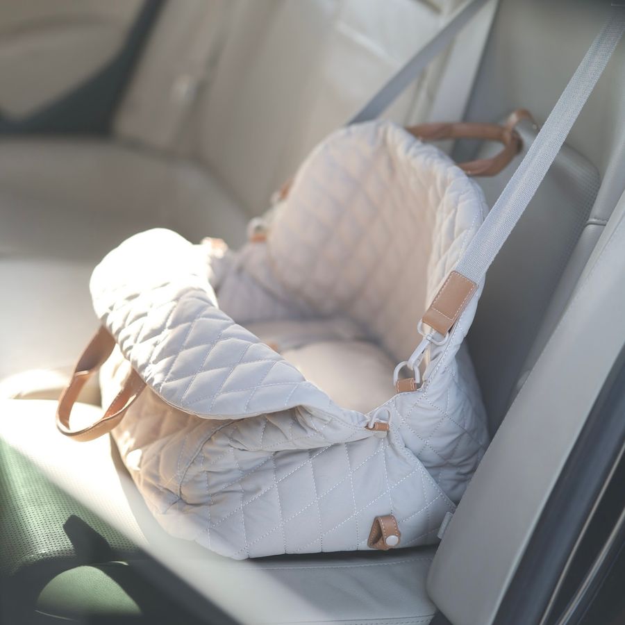 Beige 3-in-1 Pet Carrier